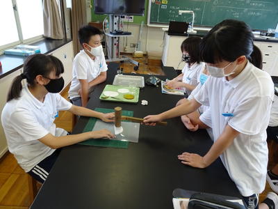 ６年理科　たたき染め